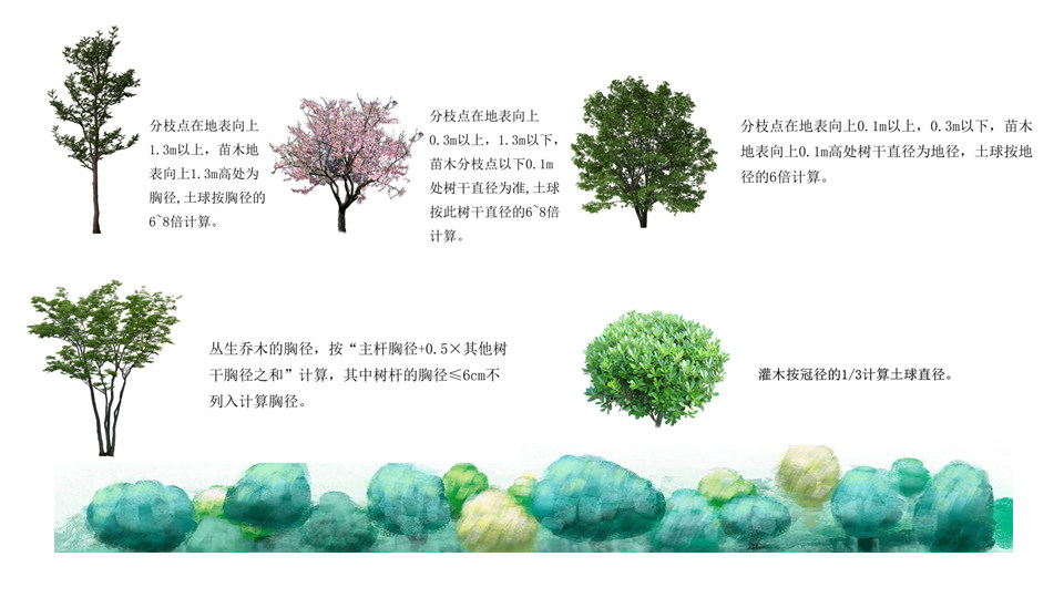 園林交底學習 (28).jpg