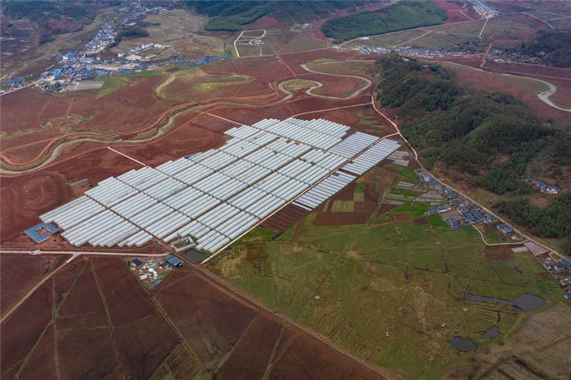 微信圖片_20210121133551_副本.jpg 微信圖片_20210121133551_副本.jpg