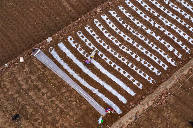 微信圖片_20210121133557_副本.jpg 微信圖片_20210121133557_副本.jpg