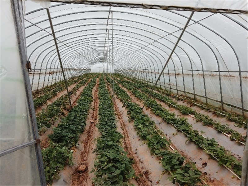 微信圖片_20210121133938_副本.jpg 微信圖片_20210121133938_副本.jpg