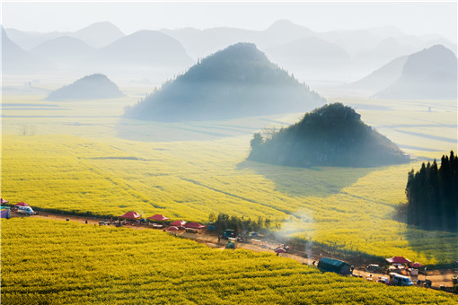 2021年中央一號文件關(guān)于農(nóng)村土地承包政策-攝圖網(wǎng)