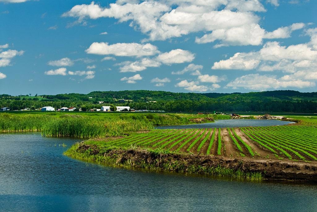 src=http___img1.diguagua.net_1483682027576.jpg&refer=http___img1.diguagua.jpg src=http___img1.diguagua.net_1483682027576.jpg&refer=http___img1.diguagua.jpg