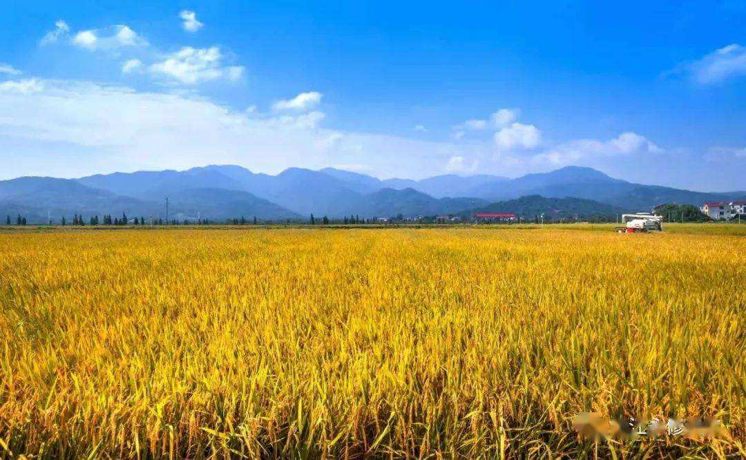 高標準農田建設 高標準農田建設