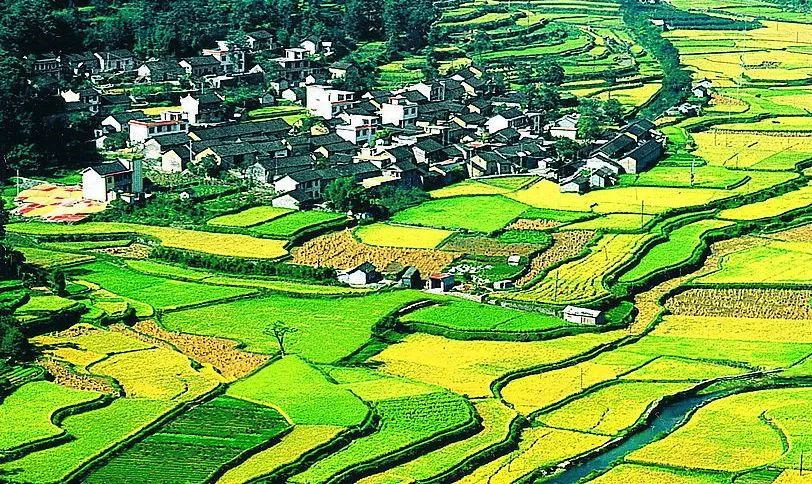 土地整理 土地整理